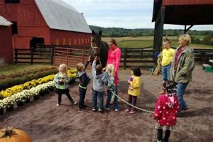 Exploring Round Hill Farms: A Sustainable Future | The Conscious Farmer | Sustainable Agriculture for a Healthier Planet