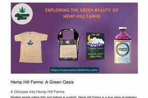 Guide to Hemp Hill Farms: Cultivation | The Conscious Farmer | Sustainable Agriculture for a Healthier Planet