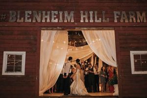 Discover Blenheim Hill Farm: A Sustainable Paradise! | The Conscious Farmer | Sustainable Agriculture for a Healthier Planet