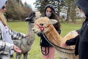 Discover Swallow Hill Farm: Your Sustainable Agriculture | The Conscious Farmer | Sustainable Agriculture for a Healthier Planet