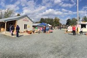 Explore Chapel Hill Farm in Maryland: A Rich History | The Conscious Farmer | Sustainable Agriculture for a Healthier Planet