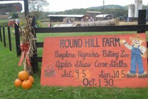 Picturesque Round Hill Farm Photos: A Visual Journey The Conscious Farmer | Sustainable Agriculture for a Healthier Planet Picturesque Round Hill Farm Photos: A Visual Journey | The Conscious Farmer | Sustainable Agriculture for a Healthier Planet