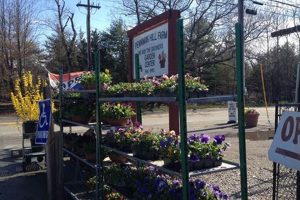 Visit Penniman Hill Farm in Hingham, MA | Fresh & Local! | The Conscious Farmer | Sustainable Agriculture for a Healthier Planet