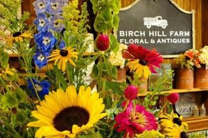 Discover Birch Hill Farm: Your Local Sustainable Farms The Conscious Farmer | Sustainable Agriculture for a Healthier Planet Discover Birch Hill Farm: Your Local Sustainable Farms | The Conscious Farmer | Sustainable Agriculture for a Healthier Planet