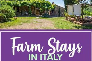 Discover Euganean Hills Italy Farm Stays - Your Rural Escape! The Conscious Farmer | Sustainable Agriculture for a Healthier Planet Discover Euganean Hills Italy Farm Stays - Your Rural Escape! | The Conscious Farmer | Sustainable Agriculture for a Healthier Planet