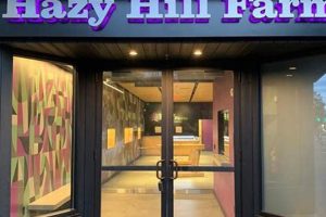 Visit Hazy Hill Farm: Your Local Hill Farm Getaway The Conscious Farmer | Sustainable Agriculture for a Healthier Planet Visit Hazy Hill Farm: Your Local Hill Farm Getaway | The Conscious Farmer | Sustainable Agriculture for a Healthier Planet