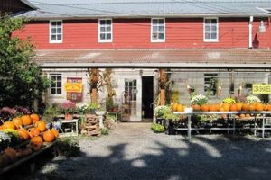 Visit Highland Orchards Farm Market: Fresh, Local & More! | The Conscious Farmer | Sustainable Agriculture for a Healthier Planet