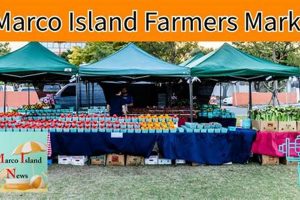 Your Guide to Marco Island Farmer's Market | [Year] | The Conscious Farmer | Sustainable Agriculture for a Healthier Planet