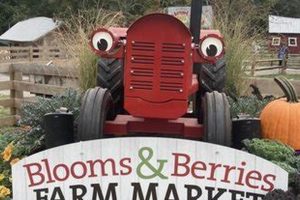 Visit Blooms & Berries Farm Market | Loveland, OH Guide | The Conscious Farmer | Sustainable Agriculture for a Healthier Planet