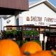 Visit Shelton's Farm Market in Niles, MI | Fresh Produce! | The Conscious Farmer | Sustainable Agriculture for a Healthier Planet