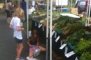 Visit Jack's Farm Market: Fresh & Local Goodness! | The Conscious Farmer | Sustainable Agriculture for a Healthier Planet