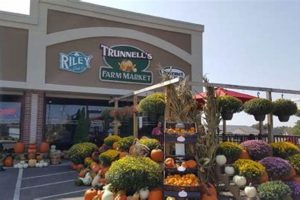 Visit Trunnell's Farm Market: Local Goodness Awaits! | The Conscious Farmer | Sustainable Agriculture for a Healthier Planet