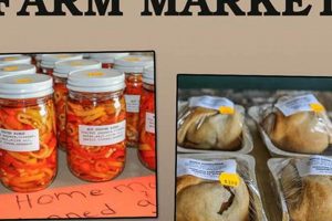 Your Guide to Campus Ridge Farm Market Delights | The Conscious Farmer | Sustainable Agriculture for a Healthier Planet