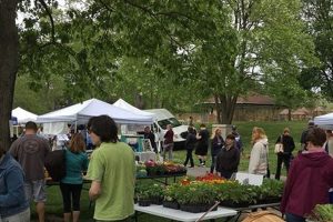 Your Local Brick Farm Market NJ: Fresh & Local Finds! | The Conscious Farmer | Sustainable Agriculture for a Healthier Planet