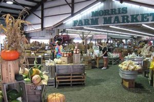 Plan Your Visit! Morris Farm Market Upcoming Events & More | The Conscious Farmer | Sustainable Agriculture for a Healthier Planet