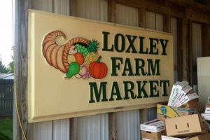 Your Guide to Loxley Farm Market: Local & Fresh | The Conscious Farmer | Sustainable Agriculture for a Healthier Planet