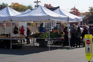 Your Guide: Hawthorne Farmer's Market Delights! | The Conscious Farmer | Sustainable Agriculture for a Healthier Planet
