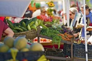Local Farmer Market Jobs Near You: A Guide | The Conscious Farmer | Sustainable Agriculture for a Healthier Planet
