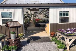 Local Heritage Farms Market: Fresh & Heirloom | The Conscious Farmer | Sustainable Agriculture for a Healthier Planet