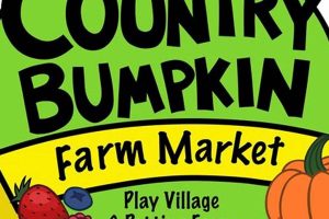 Your Local Country Bumpkin Farm Market: Fresh &amp; Fun! | The Conscious Farmer | Sustainable Agriculture for a Healthier Planet