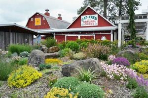 Your Blooming Junction Garden Center & Farm Market Guide | The Conscious Farmer | Sustainable Agriculture for a Healthier Planet