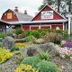 Your Blooming Junction Garden Center & Farm Market Guide | The Conscious Farmer | Sustainable Agriculture for a Healthier Planet