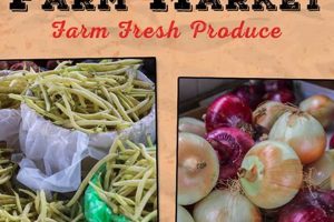Visit Smucker's Farm Market: Jams, Local Finds & More! | The Conscious Farmer | Sustainable Agriculture for a Healthier Planet
