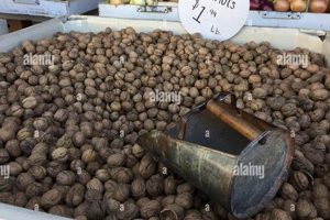 Texas Walnuts: Find Them at Your Local Farmers Market | The Conscious Farmer | Sustainable Agriculture for a Healthier Planet