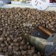 Texas Walnuts: Find Them at Your Local Farmers Market | The Conscious Farmer | Sustainable Agriculture for a Healthier Planet
