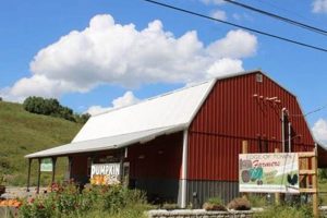 Local Edge of Town Farm Market: Fresh &amp; Seasonal! | The Conscious Farmer | Sustainable Agriculture for a Healthier Planet