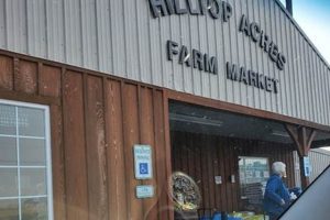 Discover Hilltop Farm Market - Fresh & Local! | The Conscious Farmer | Sustainable Agriculture for a Healthier Planet
