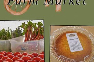 Visit Rolling Gardens Farm Market: Your Local Harvest! | The Conscious Farmer | Sustainable Agriculture for a Healthier Planet