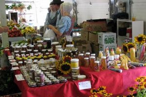 Discover: Windmill Craft & Farm Market Finds Near You! | The Conscious Farmer | Sustainable Agriculture for a Healthier Planet
