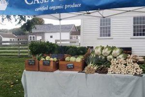 Visit Casey Farm Farmers Market: Your Local Source! | The Conscious Farmer | Sustainable Agriculture for a Healthier Planet