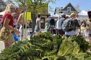 Visit the Highlands Square Farmer's Market - Local & Fresh! | The Conscious Farmer | Sustainable Agriculture for a Healthier Planet