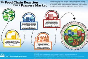 From Farm to Market: Fresh, Local & Sustainable | The Conscious Farmer | Sustainable Agriculture for a Healthier Planet