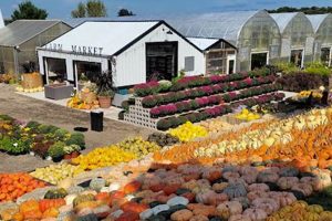 Local Parrfection Produce Farm Market: Fresh &amp; Seasonal | The Conscious Farmer | Sustainable Agriculture for a Healthier Planet