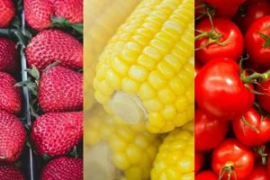 Visit Powell's Farm Market: Fresh, Local & More! | The Conscious Farmer | Sustainable Agriculture for a Healthier Planet