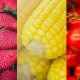 Visit Powell's Farm Market: Fresh, Local & More! | The Conscious Farmer | Sustainable Agriculture for a Healthier Planet
