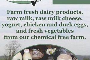 Your Guide to Gap View Farm Market: Fresh & Local | The Conscious Farmer | Sustainable Agriculture for a Healthier Planet