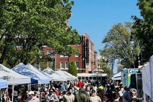 Discover Old Town Farm & Art Market: Local Delights Await! | The Conscious Farmer | Sustainable Agriculture for a Healthier Planet
