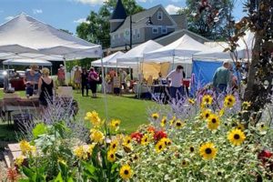 Visit Verona Farm Market: Fresh & Local Finds! | The Conscious Farmer | Sustainable Agriculture for a Healthier Planet