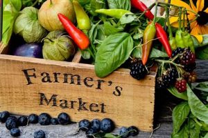 Exploring What is Farm to Market? Benefits & Trends | The Conscious Farmer | Sustainable Agriculture for a Healthier Planet