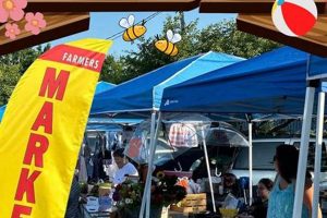 Visit Benton Farmer's Market: Local & Fresh | The Conscious Farmer | Sustainable Agriculture for a Healthier Planet