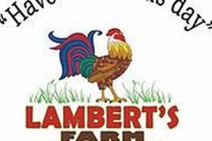 MA's Best: Lambert's Farm Market Sandwich You'll Love! | The Conscious Farmer | Sustainable Agriculture for a Healthier Planet