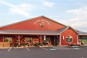 Visit Bolton Farm Market: Fresh & Local! | The Conscious Farmer | Sustainable Agriculture for a Healthier Planet