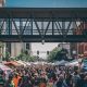 Your Guide: Cedar Rapids Farmer Market Finds & Freshness! | The Conscious Farmer | Sustainable Agriculture for a Healthier Planet