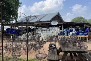 Richmond's Enchanted Gardens Farm to Market: Your 359 Fresh Stop! | The Conscious Farmer | Sustainable Agriculture for a Healthier Planet