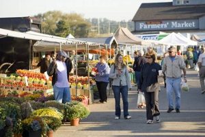 Shop Local: Waterloo Farm Market Guide &amp; More! | The Conscious Farmer | Sustainable Agriculture for a Healthier Planet