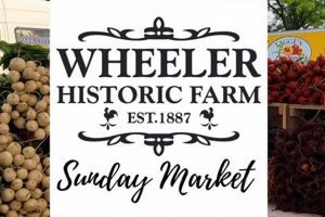 Visit Wheeler's Farm Market: Fresh & Local Goodness! | The Conscious Farmer | Sustainable Agriculture for a Healthier Planet